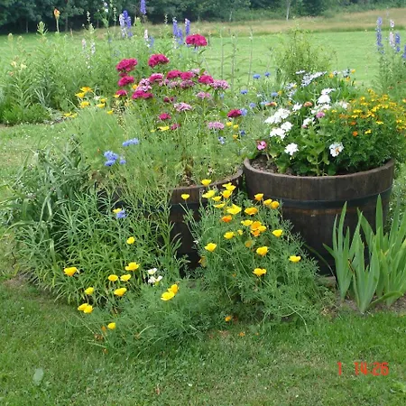 La Croisee Des Fleurs *